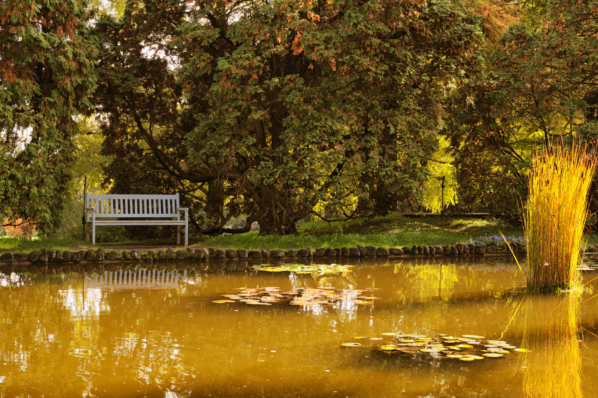 Panchina al Parco Sicurtà di Valleggio sul Mincio